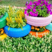 Used tires fun